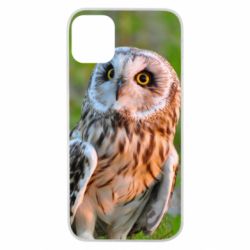 Чохол для iPhone 11 Pro Owl on green field - PrintSalon
