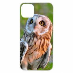 Чехол для iPhone 11 Pro Max Owl on green field