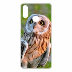 Чохол для Samsung A10s Owl on green field - PrintSalon