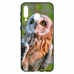 Чохол для Samsung M30 Owl on green field-PrintSalon Чохол для Samsung M30 Owl on green field