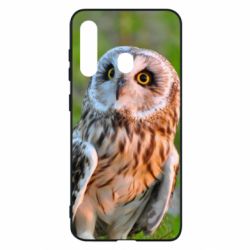 Чохол для Samsung M40 Owl on green field-PrintSalon Чохол для Samsung M40 Owl on green field