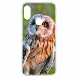 Чохол для Xiaomi Redmi Note 7 Owl on green field - PrintSalon
