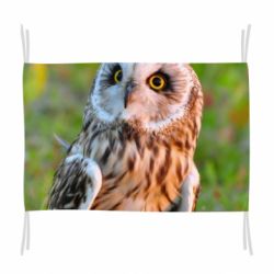 Прапор Owl on green field