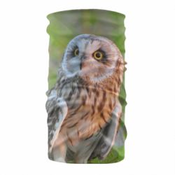 Бандана Owl on green field - PrintSalon
