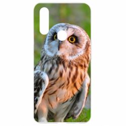 Чохол для Oppo A31 Owl on green field - PrintSalon