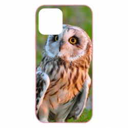 Чохол для iPhone 12 Owl on green field-PrintSalon Чохол для iPhone 12 Owl on green field