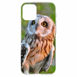 Чохол для iPhone 12 mini Owl on green field - PrintSalon