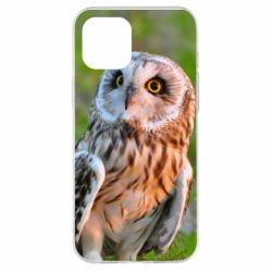 Чохол для iPhone 12 Pro Max Owl on green field - PrintSalon