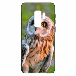 Чохол для Samsung S9+ Owl on green field - PrintSalon