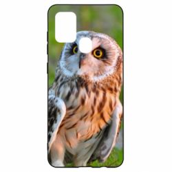 Чохол для Samsung A21s Owl on green field - PrintSalon