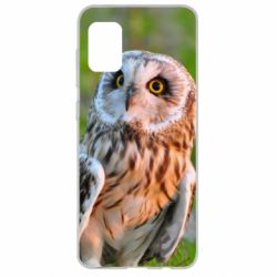 Чехол для Samsung A31 Owl on green field-PrintSalon Чехол для Samsung A31 Owl on green field