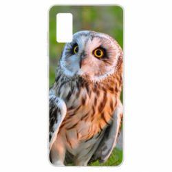 Чехол для Samsung A41 Owl on green field