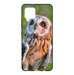 Чохол для Samsung A42 5G Owl on green field - PrintSalon