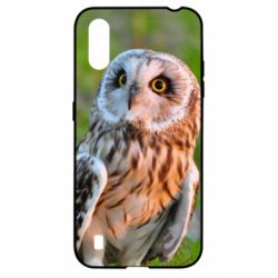 Чохол для Samsung A01 / M01 Owl on green field - PrintSalon