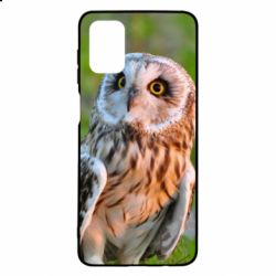 Чохол для Samsung M51 Owl on green field - PrintSalon