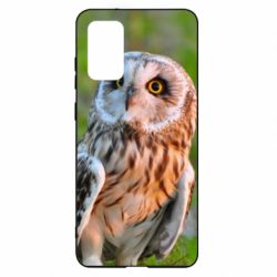 Чохол для Samsung S20+ Owl on green field - PrintSalon
