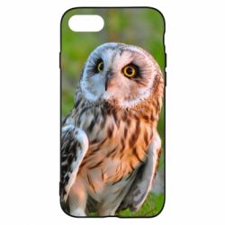 Чохол для iPhone 8 Owl on green field