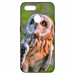 Чохол для Oppo A5s / A12Owl on green field - PrintSalon