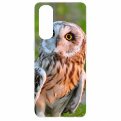 Чохол для Oppo Reno 4 Pro Owl on green field - PrintSalon