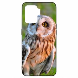 Чохол для Oppo Reno 5 Lite Owl on green field - PrintSalon