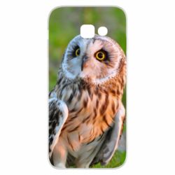 Чохол для Samsung A5 2017 Owl on green field-PrintSalon Чохол для Samsung A5 2017 Owl on green field