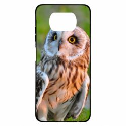 Чохол для Xiaomi Poco X3 Owl on green field - PrintSalon