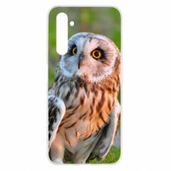 Чохол для Realme 6 Owl on green field - PrintSalon