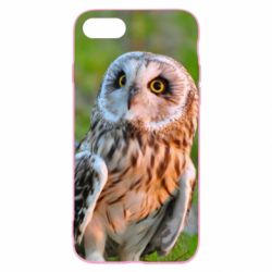 Чохол для iPhone SE 2022 Owl on green field - PrintSalon