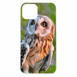 Чохол для iPhone 14 Owl on green field
