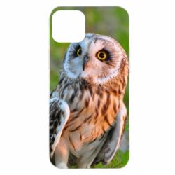 Чохол для iPhone 14 Plus Owl on green field - PrintSalon