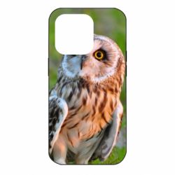 Чохол для iPhone 14 Pro Owl on green field - PrintSalon