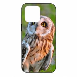 Чохол для iPhone 14 Pro Max Owl on green field - PrintSalon