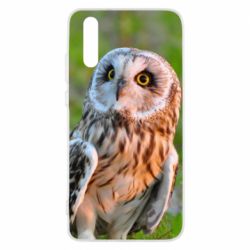 Чохол для Huawei P20 Owl on green field - PrintSalon