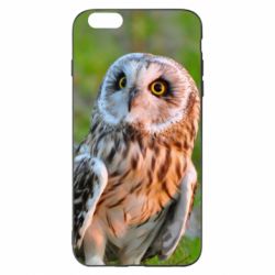 Чехол для iPhone 6 Plus/6S Plus Owl on green field