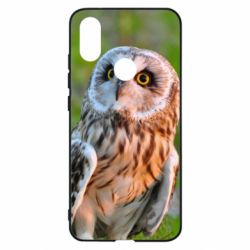 Чохол для Xiaomi Mi A2 Owl on green field - PrintSalon