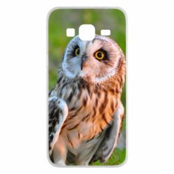 Чохол для Samsung J3 2016 Owl on green field - PrintSalon