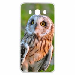 Чохол для Samsung J7 2016 Owl on green field - PrintSalon