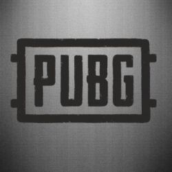 Наклейка ПАБГ - PrintSalon