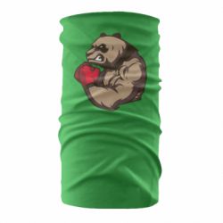 Бандана Panda Boxing - PrintSalon