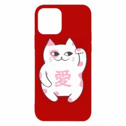 Чехол для iPhone 12 Cat and hieroglyphs - PrintSalon