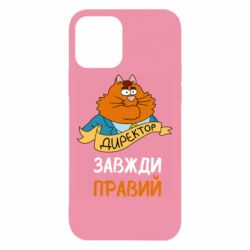 Чехол для iPhone 12 Директор всегда прав - PrintSalon