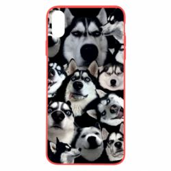 Чохол для iPhone X/Xs Husky Emotions - PrintSalon