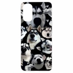 Чохол для Oppo Reno 4Husky Emotions - PrintSalon