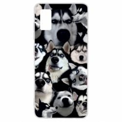 Чохол для Samsung A41 Husky Emotions - PrintSalon