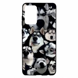 Чохол для Samsung A72 5G Husky Emotions - PrintSalon