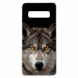 Чохол для Samsung S10+ Wolf with yellow eyes - PrintSalon