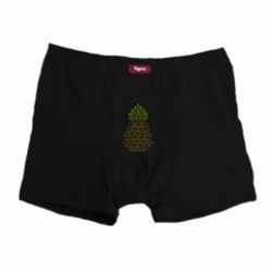 Трусы-боксеры Pineapple cat - PrintSalon