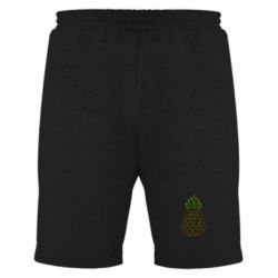 Мужские шорты Pineapple cat - PrintSalon