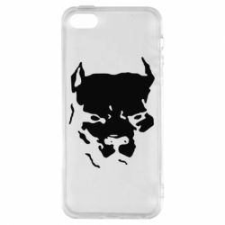 Чехол для iPhone5/5S/SE Питбуль - PrintSalon
