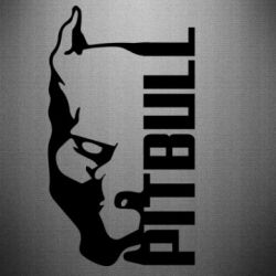 Наклейка Pitbull - PrintSalon